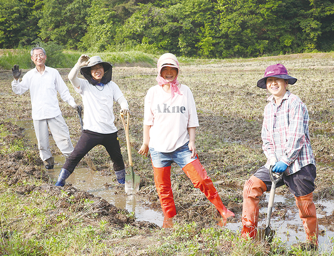 [논에서 만난 사람들] 벼농사 도전하는 초보 농부들