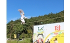 [포토뉴스] 사진으로 보는 와일푸드축제 