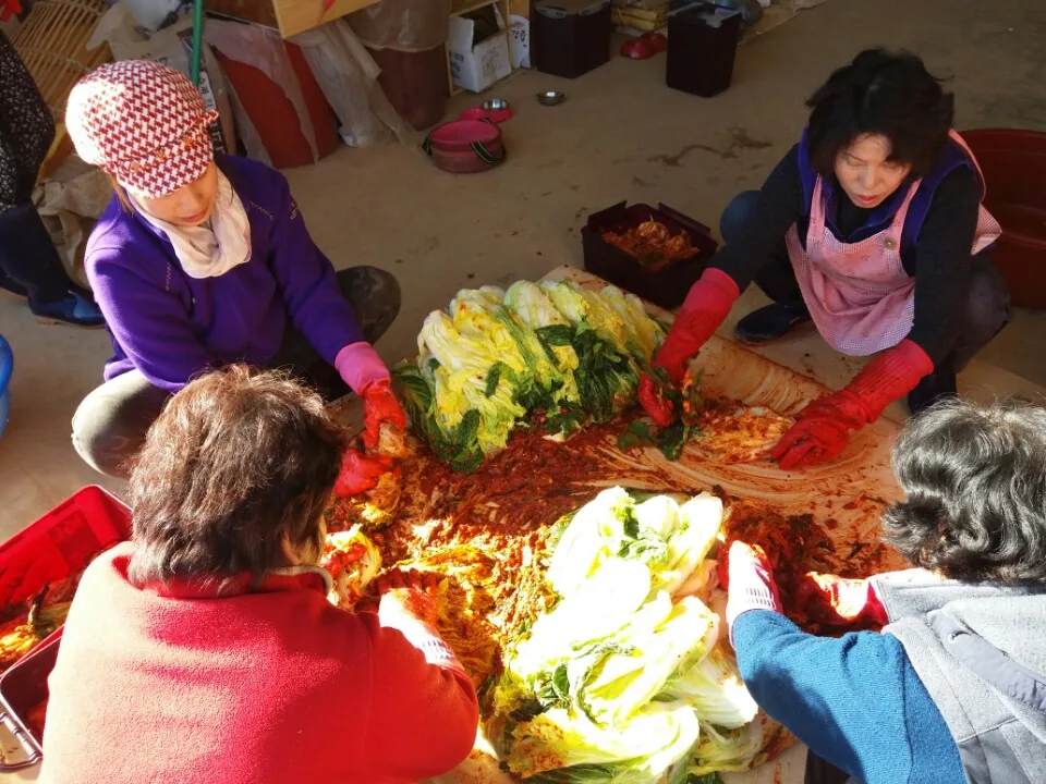 temp 1480662535799.1051072303