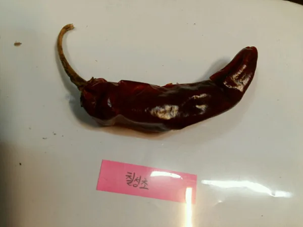 a 30cfb9 f 8ehUd018svc1d0ams33i886w d2zt36