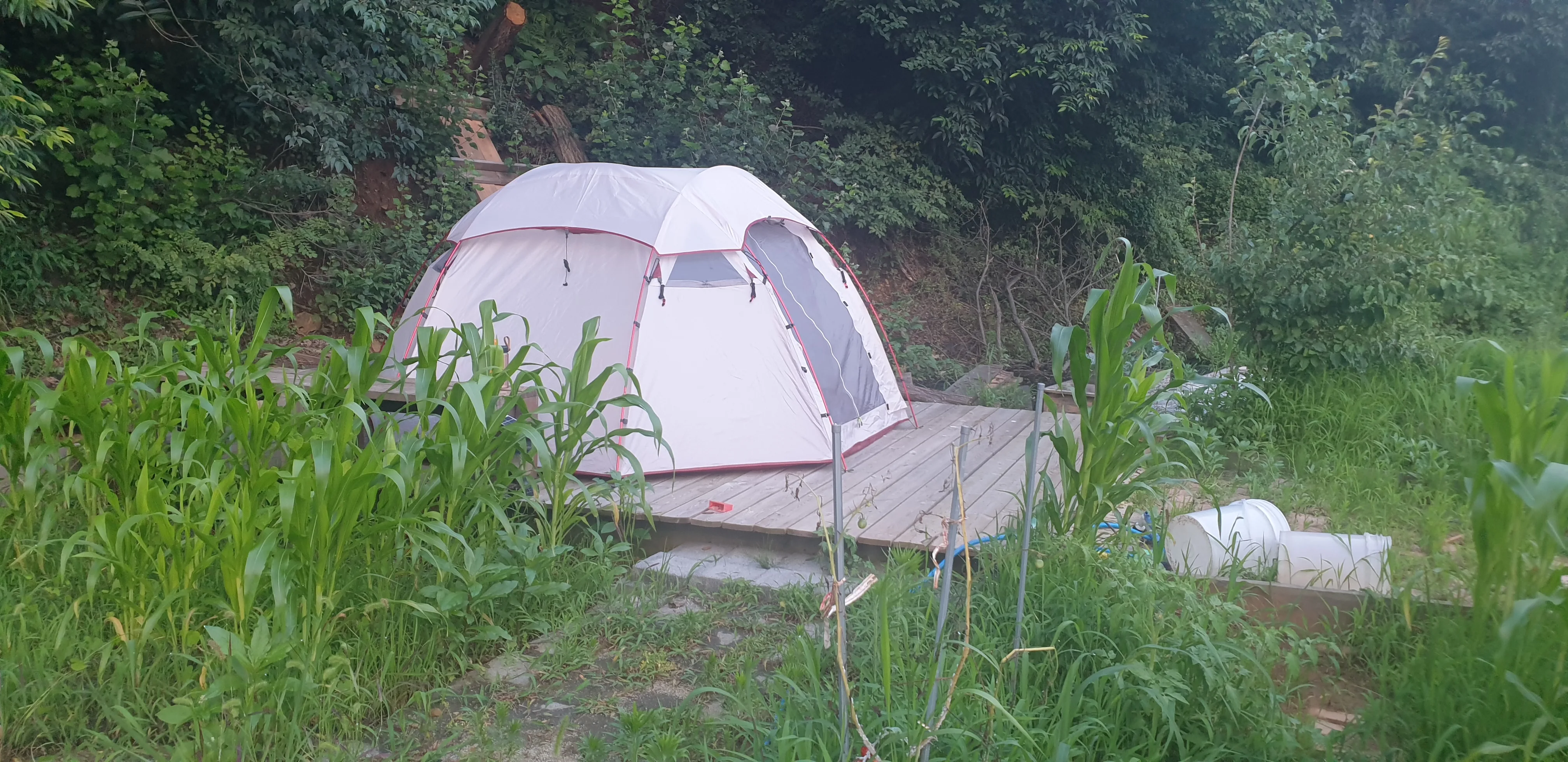 강민수 마을기자 풀밭아래 캠핑장