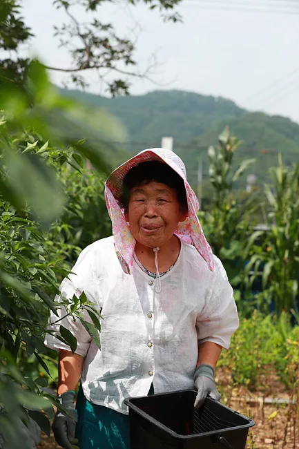 박동순 할머니1