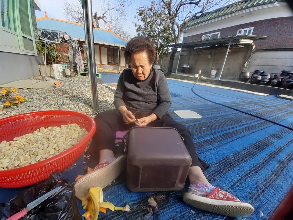 허진숙기자 김명금할머니 사진 (1)