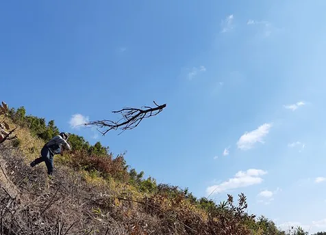 멋진신세계 사진