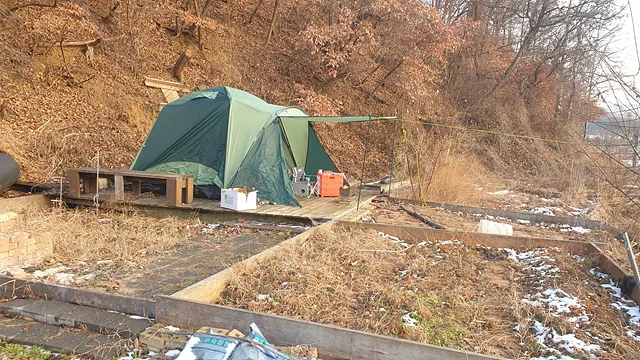 마을기자 강민수 (2) 산에서 내려온 고라니