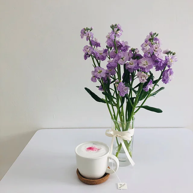 여름지키 숙면라떼