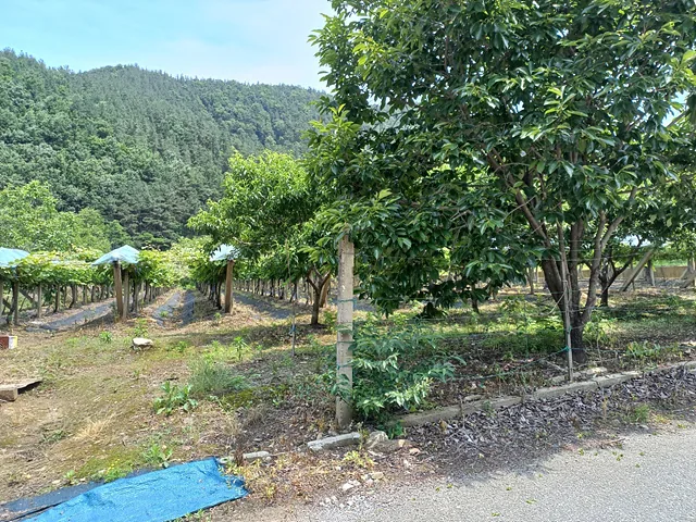 [허진숙 마을기자] (1)