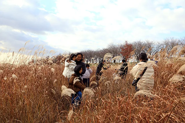 만경강 피크닉2