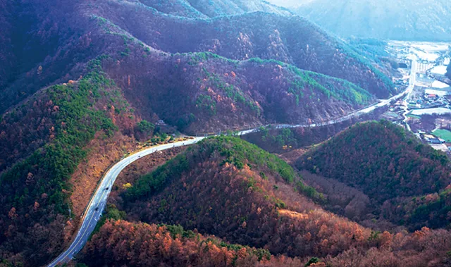 금만정맥을 가르는 말골재 황재남 제공