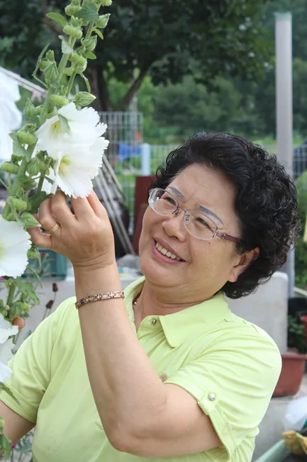 집 앞마당 접시꽃 앞에서 (2)