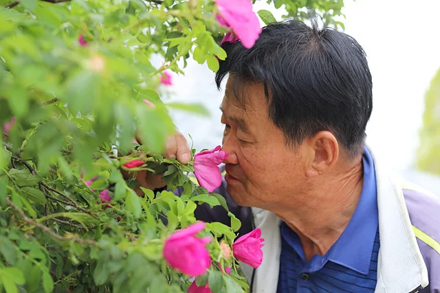 순천아저씨가 가리키는 곳을 보면 어김없이 꽃이 피어있다 (2)