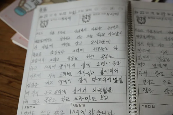 김군자 할머니의 글과 그림들 (5)