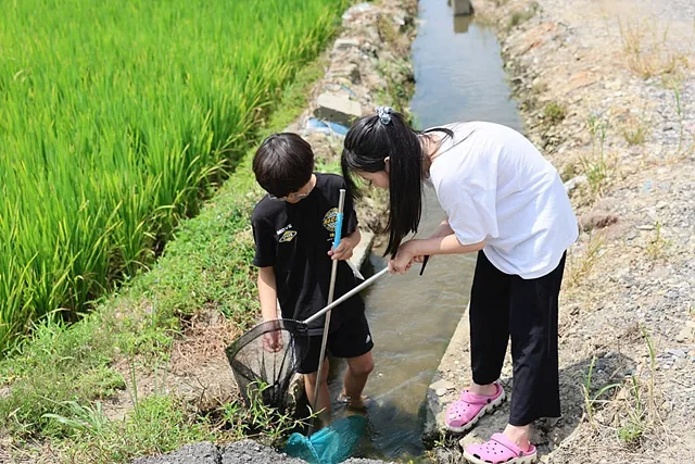 독보또랑 정비중 완주문화도시지원센터 제공