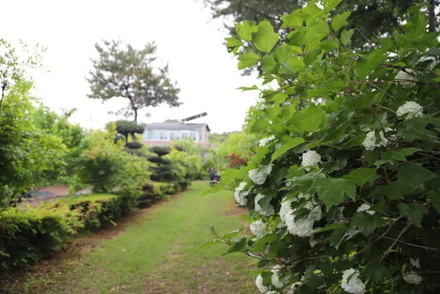 강영희 씨가 가꾼 정원이자 작은 숲