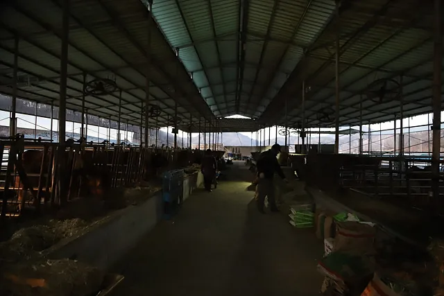 이른 아침 어둠속에서 명상하듯 일하고 있는 박일진 정현순 부부