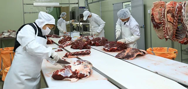 완주한우협동조합 제공