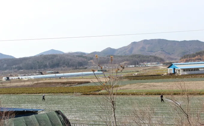 [풍경] 봄 농사로 분주한 들녘
