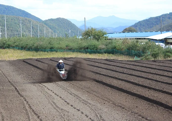 [사람] 결실의 계절 가을, 또 다른 시작
