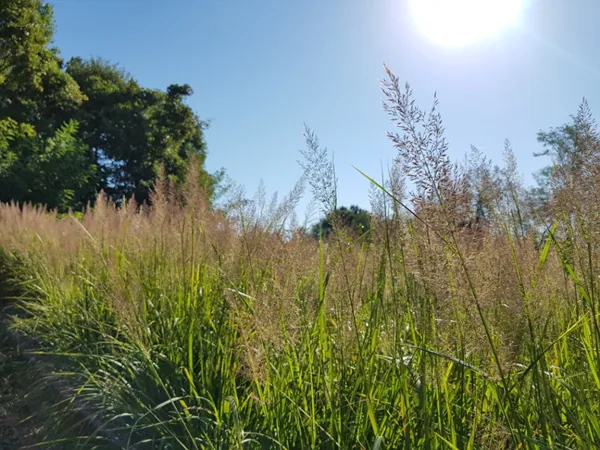 KakaoTalk 20180927 112731850