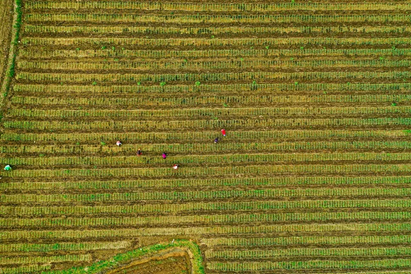 KakaoTalk Photo 2020 04 02 13 37 39