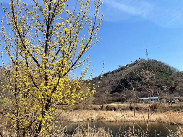 KakaoTalk 20230313 162321195 02