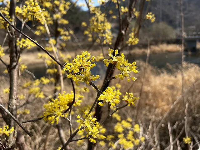 KakaoTalk 20230313 162321195 06