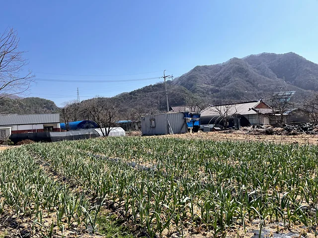 KakaoTalk 20230313 162321195 01