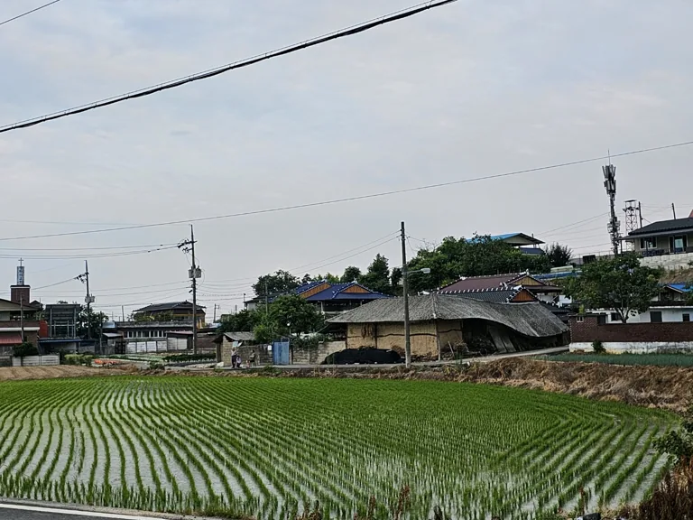 한해 농사의 시작