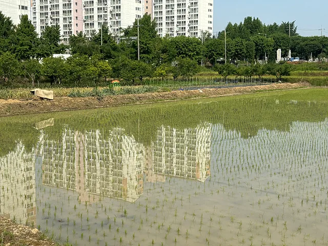 KakaoTalk 20240527 151631680 01