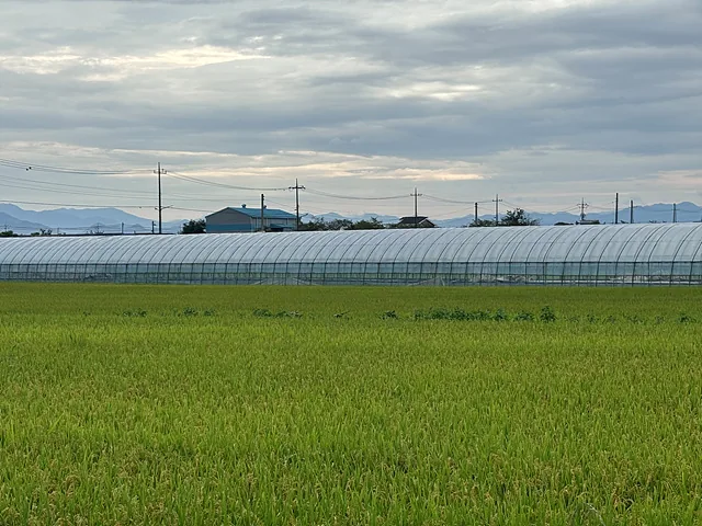 KakaoTalk 20240919 153030605 01