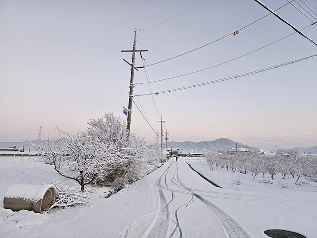 온통 희고 아름다운 세계