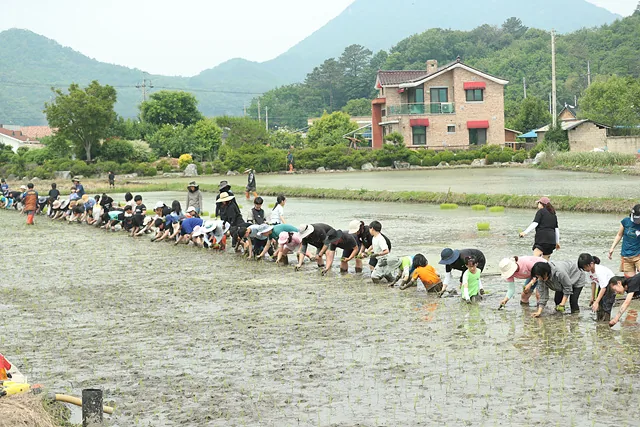 한바탕 벌어진 단오한마당