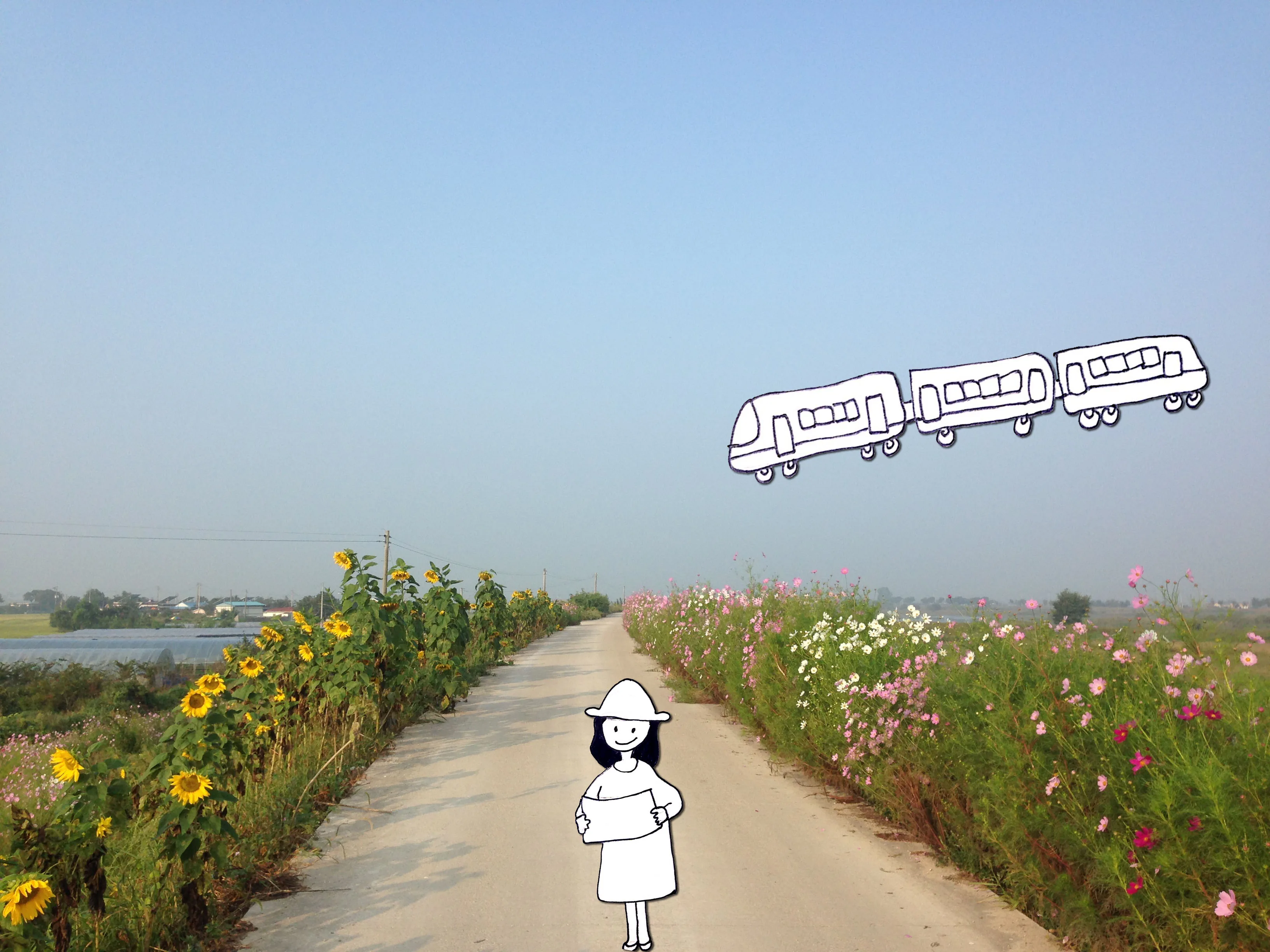 이보현 완주행보 삽화