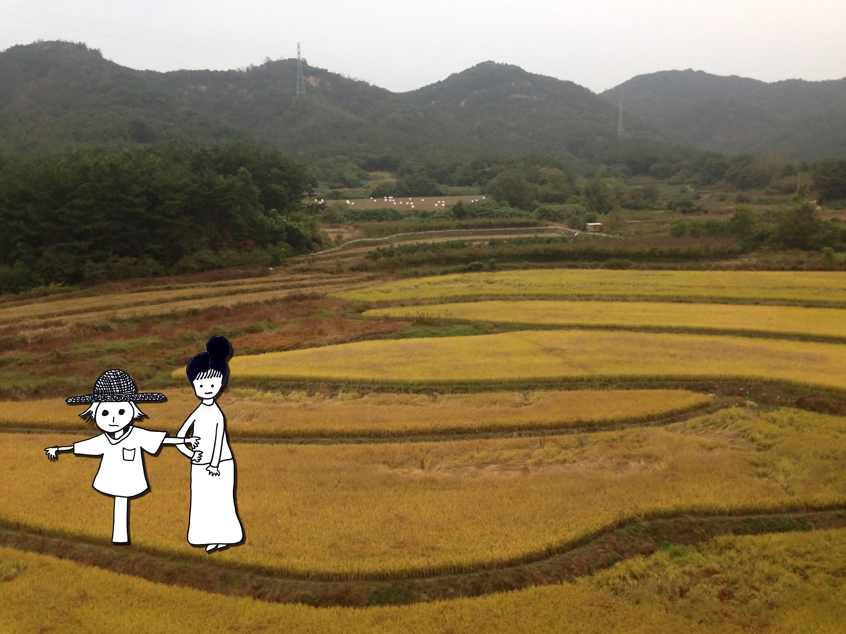 기혼행세