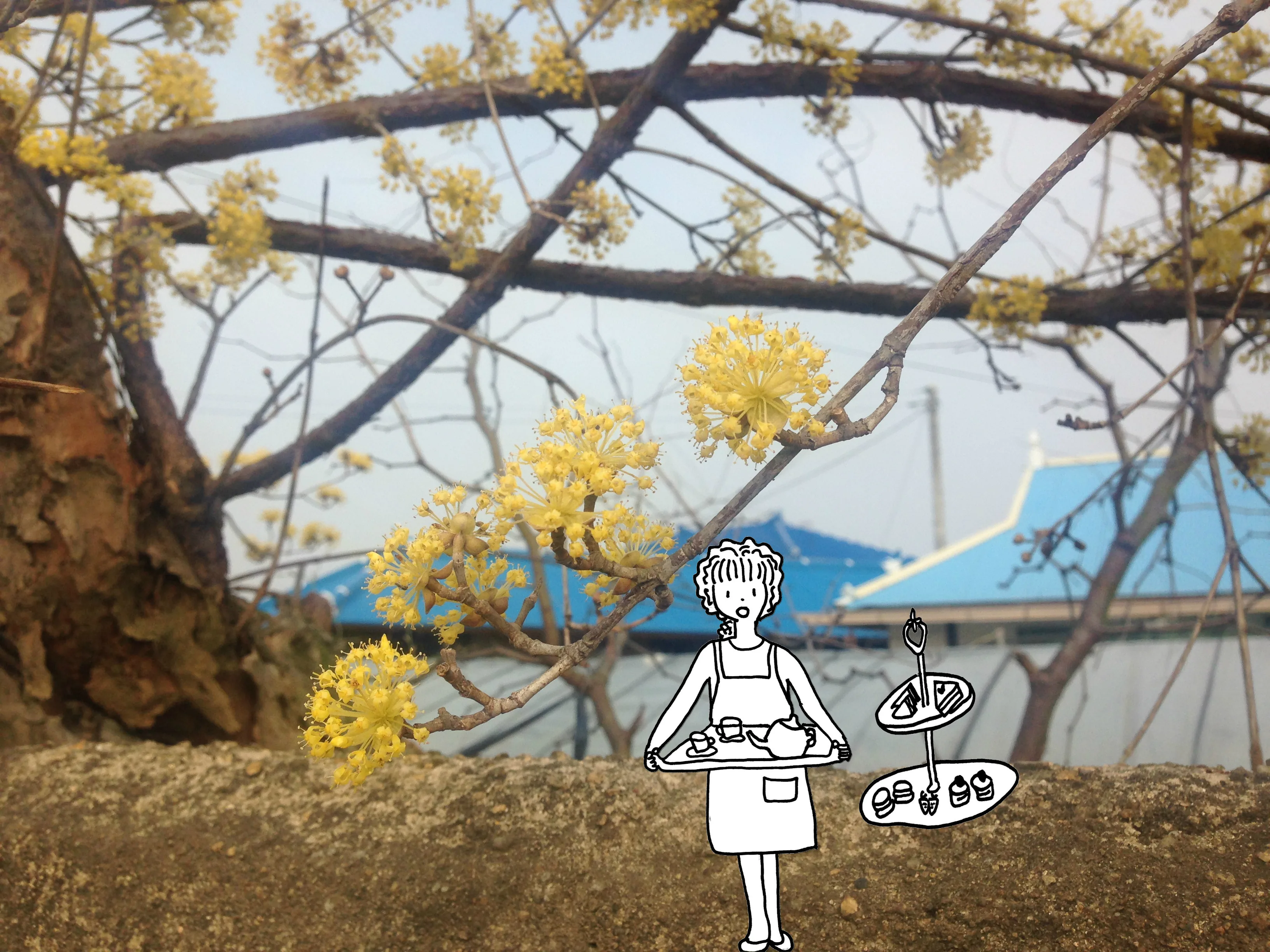 201703 완주행보 이미지