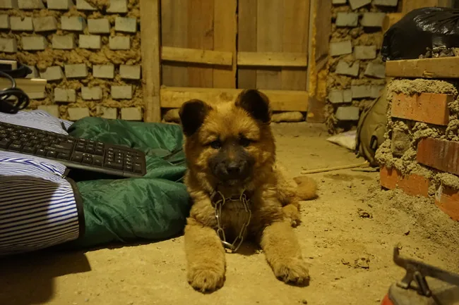 너멍굴 신임총리 논두렁