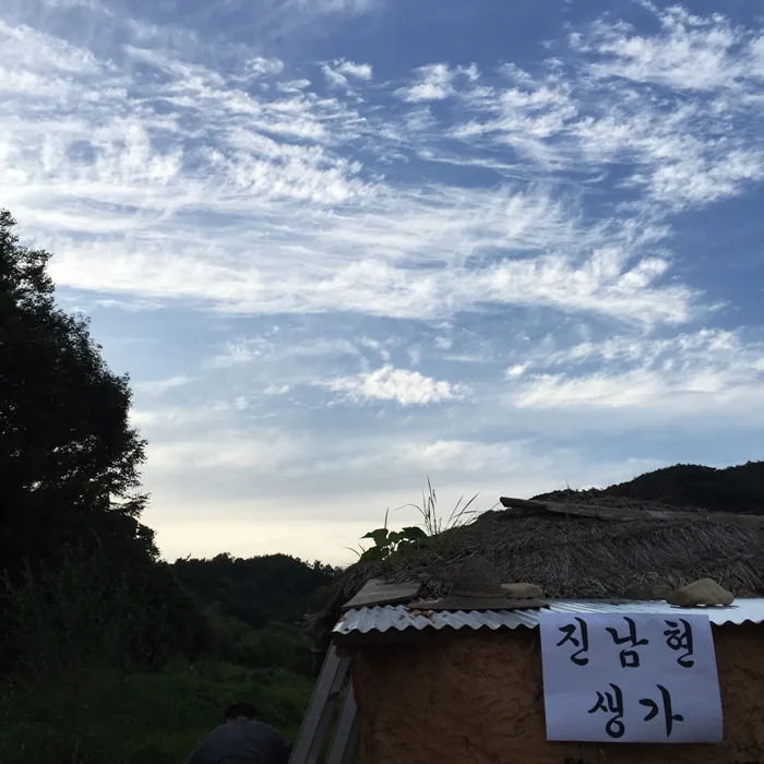 풀나무그리고물