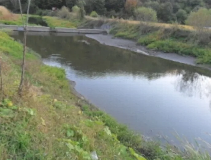 와룡리 가양마을 주변의 개울