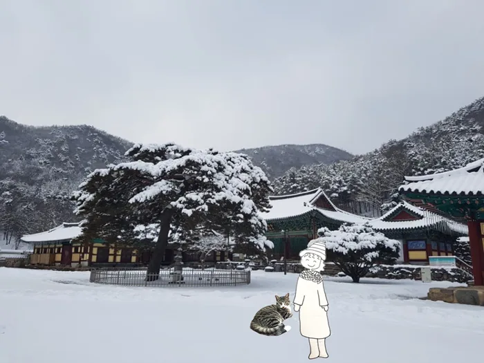 완주행보 이미지 201802