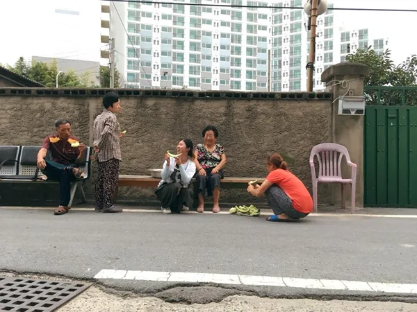 삼례 마천마을에서 작은 메론잔치가 열렸다. 가운데 종분할매.