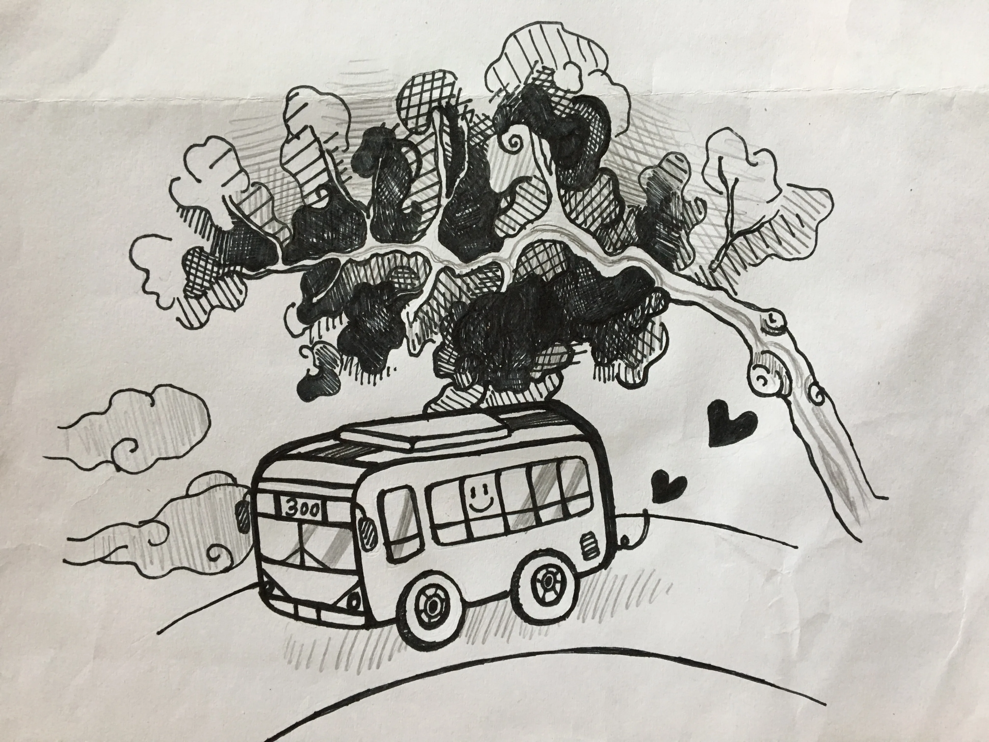 칼럼 신미연 그림