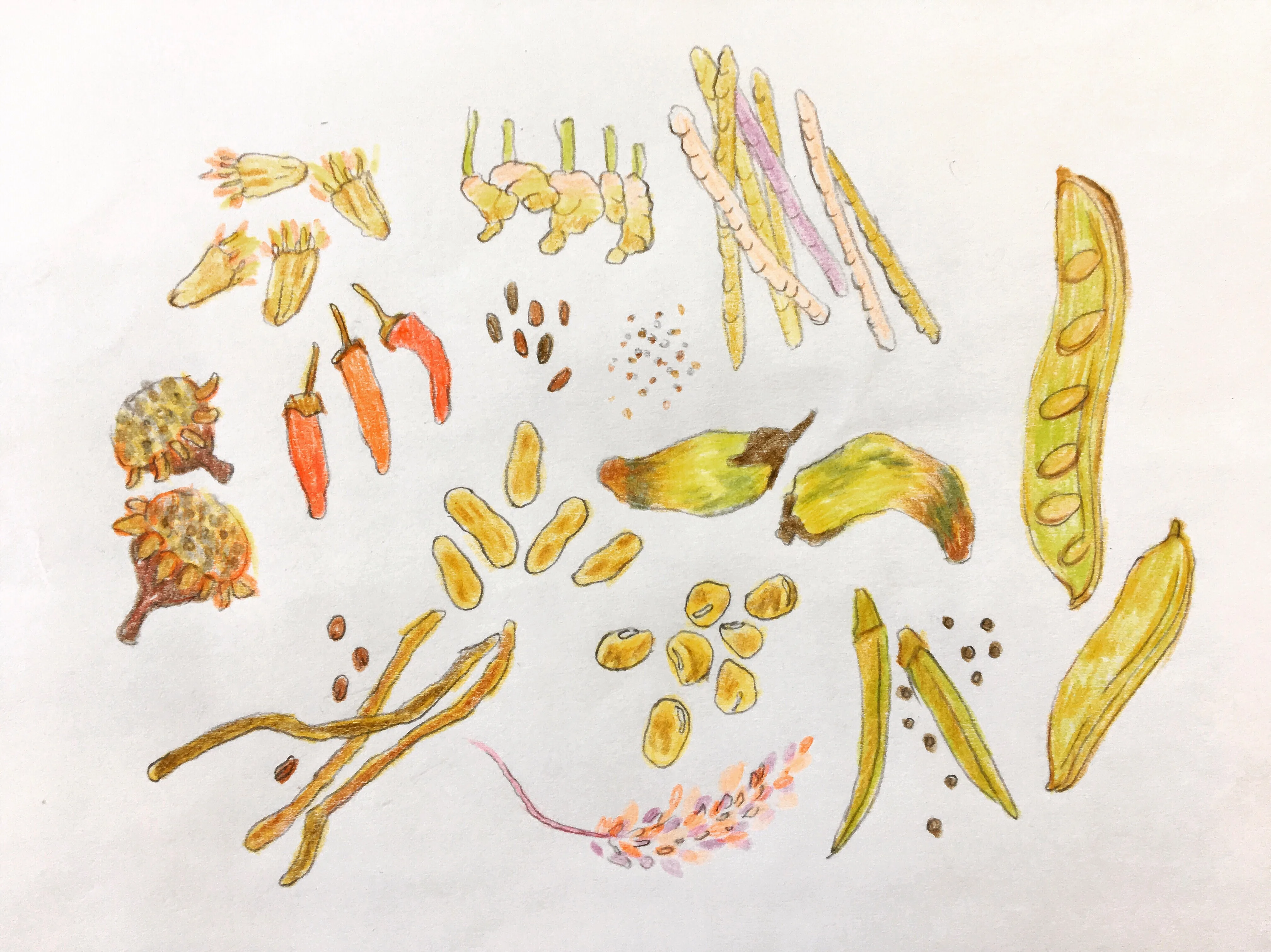 D76BE915 5E01 411E BDFA B358276770C6