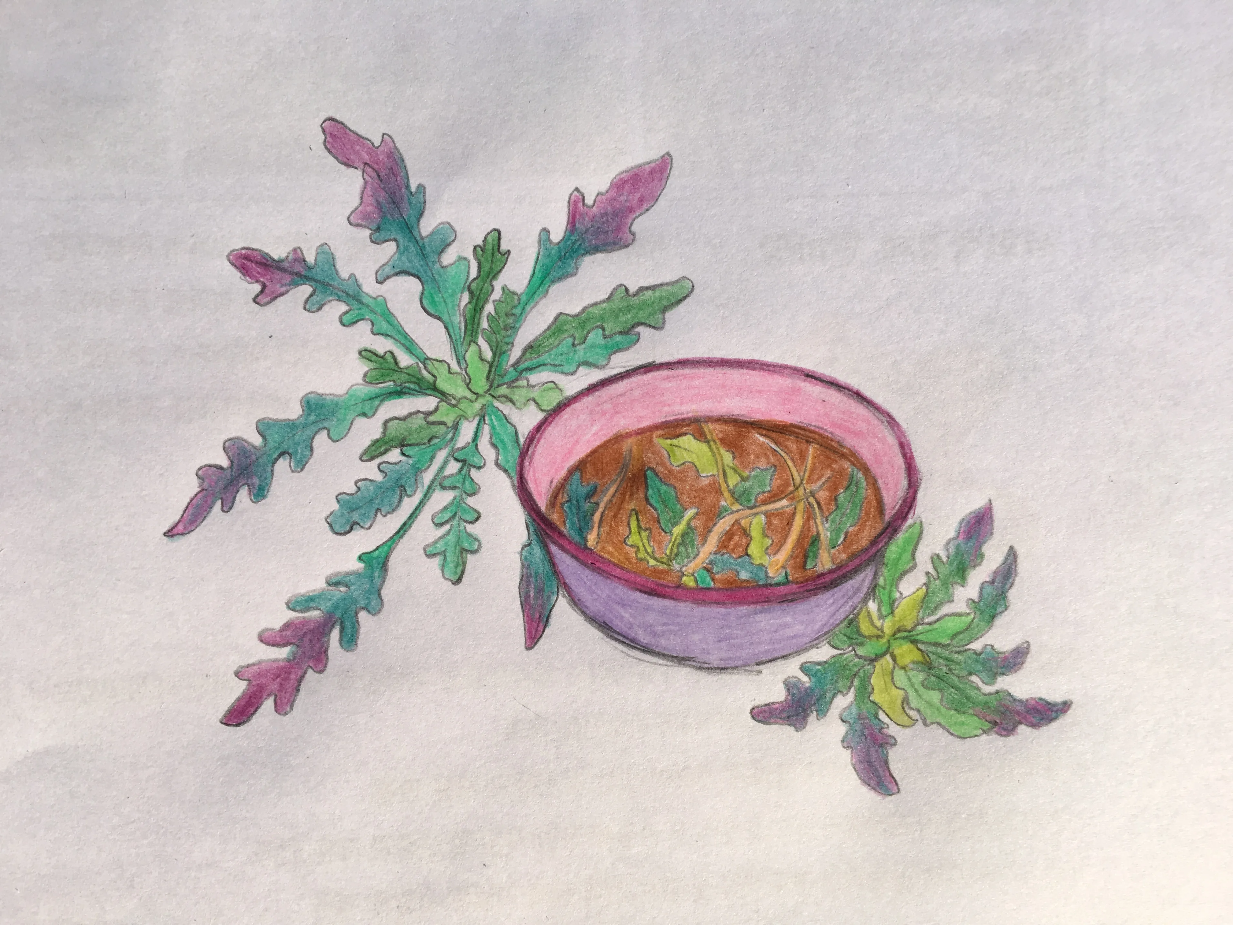 225E0F8F 1A2F 4CCC B667 353B26CA6E12