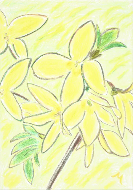 나카무라미코 그림