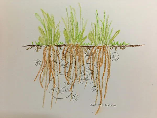 DBD5E85D 08C1 428D 9C5E 2D3C26367125