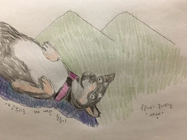 60849B77 0F62 4BE9 AC41 689BBBCE9500