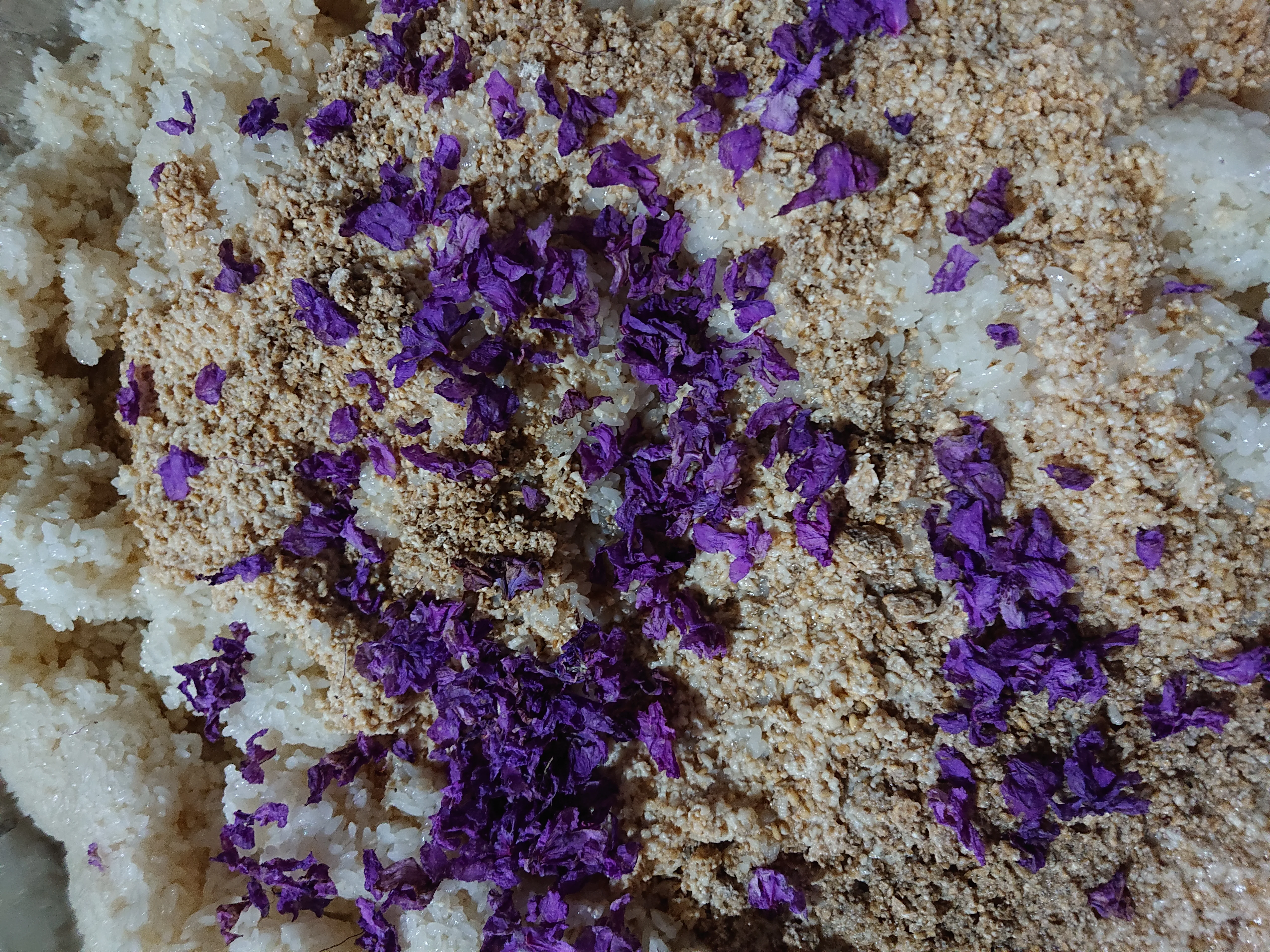 진달래와 누룩을 뿌린 고두밥 사진 백인옥 제공