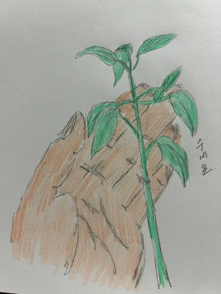 KakaoTalk 20230707 170316890