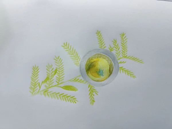 KakaoTalk 20230908 082815357