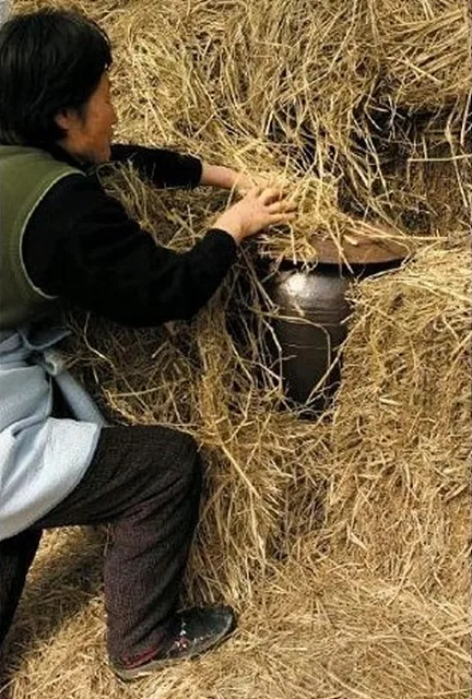 [유송이] (사진출처) 비주, 숨겨진 우리술을 찾아서(허시명 著)